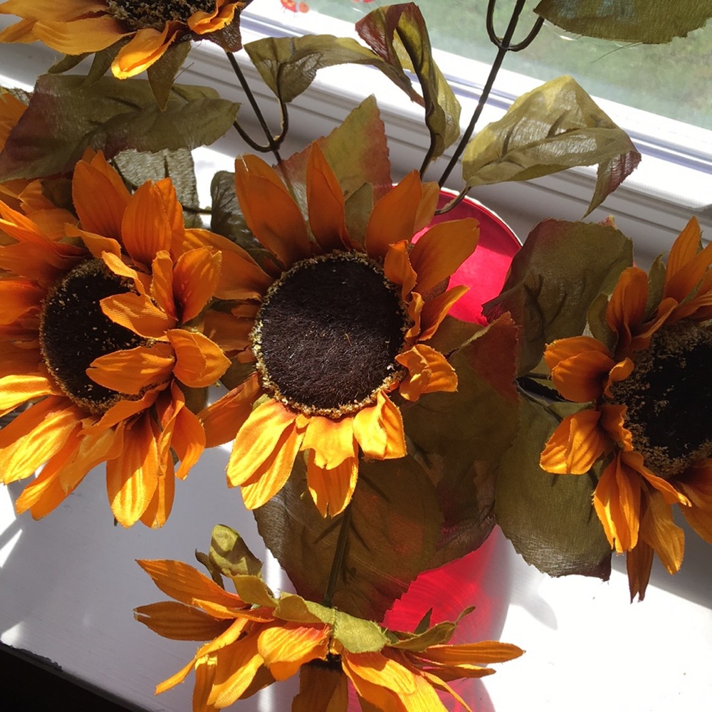 Meet your Posher, HEGraff